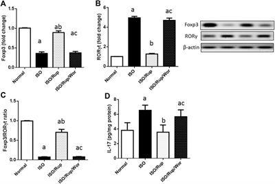 Boosting Akt Pathway by Rupatadine Modulates Th17/Tregs Balance for Attenuation of Isoproterenol-Induced Heart Failure in Rats